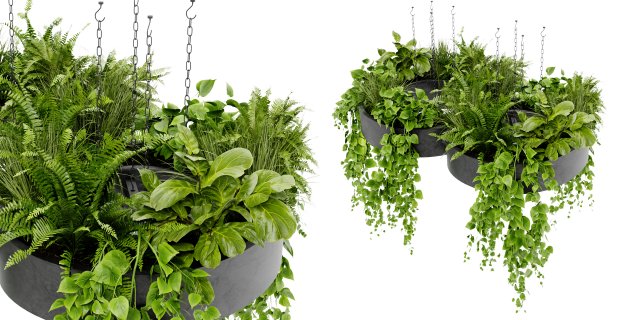 Collection Plant Vol 401 - Blender Model 3D Model .c4d .max .obj .3ds .fbx .stl .blend 