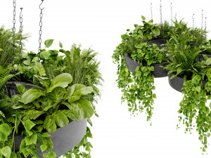 Collection Plant Vol 401 - Blender Model Model 3D