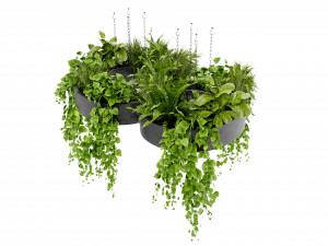 Collection Plant Vol 401 - Blender Model 3D Model