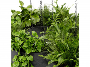 Collection Plant Vol 401 - Blender Model 3D Model