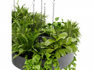 Collection Plant Vol 401 - Blender Model 3D Model