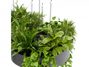 Collection Plant Vol 401 - Blender Model 3D Model