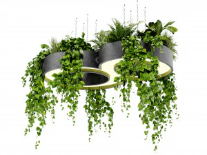 Collection Plant Vol 401 - Blender Model 3D Model