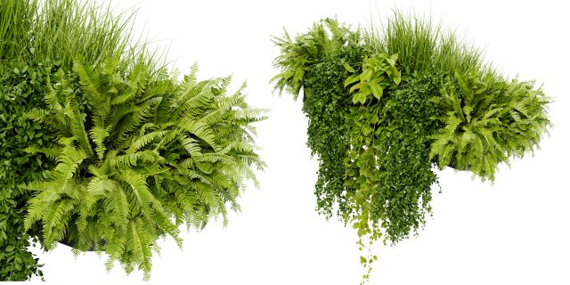 Collection Plant Vol 402 - Blender Model Modelo 3D .c4d .max .obj .3ds .fbx .stl .blend 