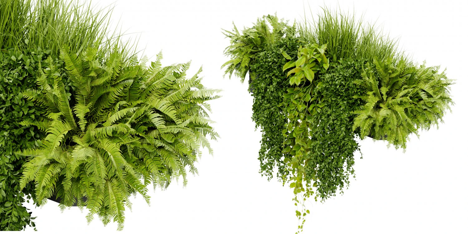 Collection Plant Vol 402 - Blender Model 3D Model .c4d .max .obj .3ds .fbx .stl .blend 