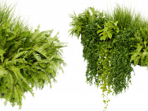Collection Plant Vol 402 - Blender Model 3D Модель