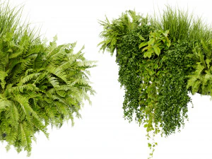 Cole&ccedil;&atilde;o Planta Vol 402 - Modelo Liquidificador Modelo 3D