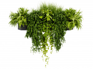 Collection Plant Vol 402 - Blender Model Modelo 3D