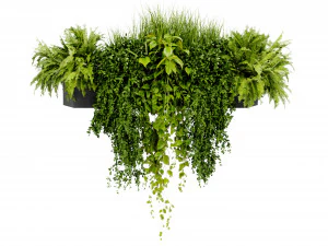 Collection Plant Vol 402 - Blender Model 3D Model