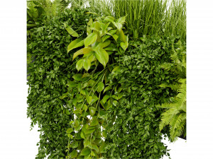 Collection Plant Vol 402 - Blender Model Modelo 3D