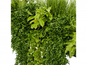 Collection Plant Vol 402 - Blender Model 3D Model