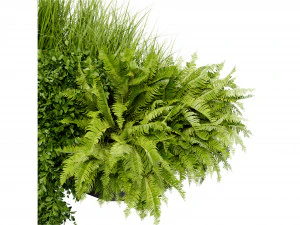 Collection Plant Vol 402 - Blender Model 3D Model