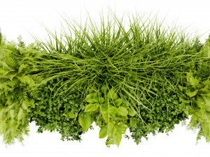 Collection Plant Vol 402 - Blender Model Modelo 3D
