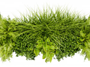 Collection Plant Vol 402 - Blender Model 3D Model