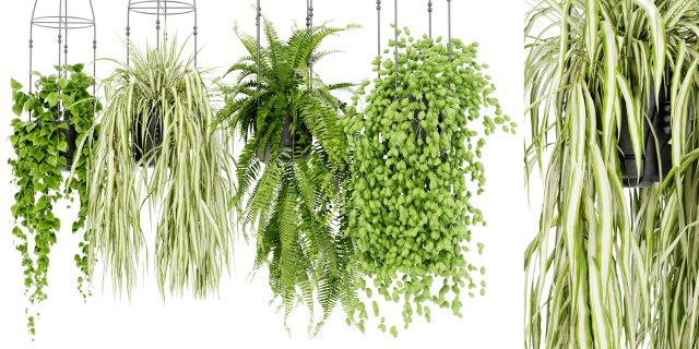 Collection Plant Vol 404 - Blender Model Modèle 3D .c4d .max .obj .3ds .fbx .stl .blend 