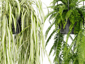 Collection Plant Vol 404 - Blender Model Modèle 3D