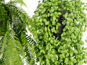 Collection Plant Vol 404 - Blender Model Modèle 3D
