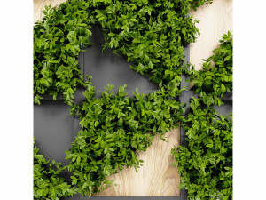 Collection Plant Vol 405 - Blender Model Modèle 3D