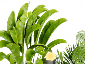 Collection Plant Vol 406 - Blender Model 3D 模型