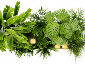 Collection Plant Vol 406 - Blender Model 3D 模型