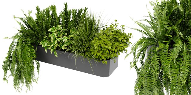 Collection Plant Vol 407 - Blender Model Model 3D .c4d .max .obj .3ds .fbx .stl .blend 