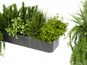 Collection Plant Vol 407 - Blender Model Model 3D