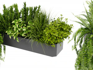 Cole&ccedil;&atilde;o Planta Vol 407 - Modelo Liquidificador Modelo 3D