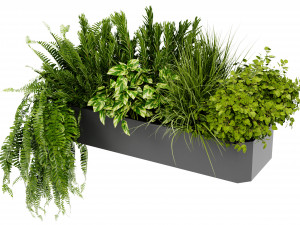 Collection Plant Vol 407 - Blender Model Model 3D