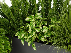 Collection Plant Vol 407 - Blender Model 3D Model