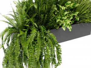 Collection Plant Vol 407 - Blender Model 3D Model