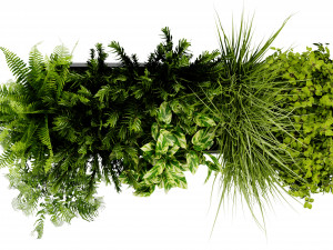 Collection Plant Vol 407 - Blender Model Model 3D