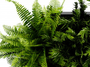 Collection Plant Vol 407 - Blender Model Model 3D