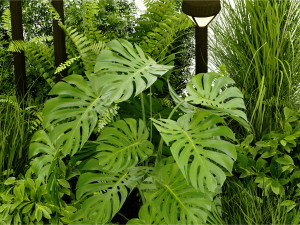 Collection Plant Vol 409 - Blender Model Modelo 3D
