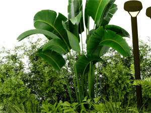 Collection Plant Vol 409 - Blender Model Modelo 3D