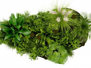 Collection Plant Vol 409 - Blender Model Modelo 3D