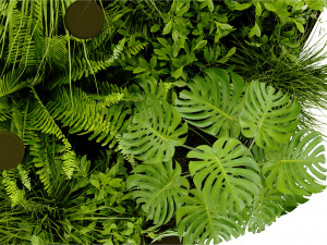 Collection Plant Vol 409 - Blender Model Modelo 3D