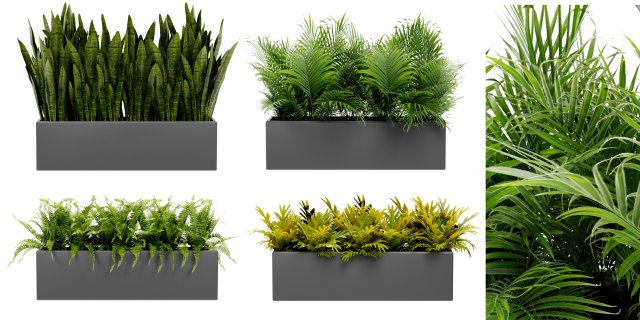 Collection Plant Vol 410 - Blender Model 3D 模型 .c4d .max .obj .3ds .fbx .stl .blend 