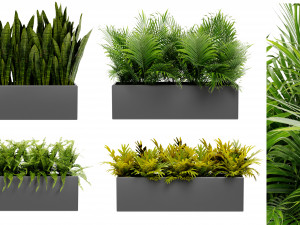Collection Plant Vol 410 - Blender Model 3D Model
