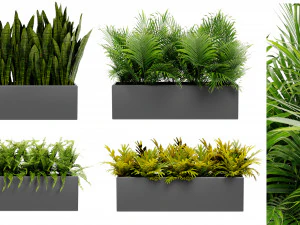 कलेक्शन प्लांट वॉल्यूम 410 - ब्लेंडर मॉडल 3D मॉडल