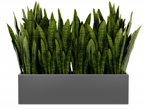 Collection Plant Vol 410 - Blender Model 3D 模型