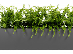 Collection Plant Vol 410 - Blender Model 3D 模型