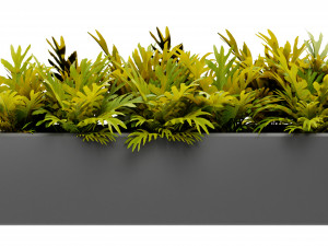 Collection Plant Vol 410 - Blender Model 3D 模型
