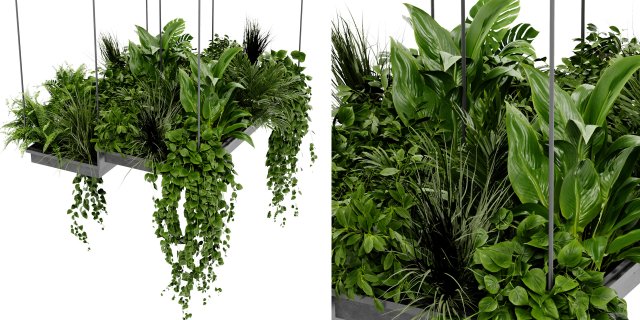Collection Plant Vol 411 - Blender Model 3Dモデル .c4d .max .obj .3ds .fbx .stl .blend 