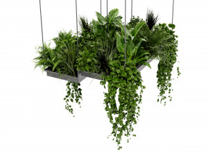Collection Plant Vol 411 - Blender Model 3Dモデル