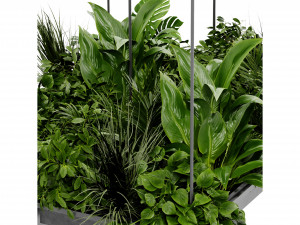 Collection Plant Vol 411 - Blender Model 3Dモデル