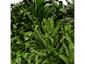 Collection Plant Vol 411 - Blender Model 3Dモデル