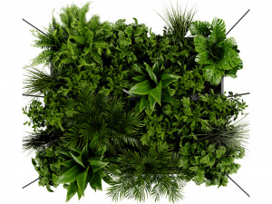Collection Plant Vol 411 - Blender Model 3Dモデル