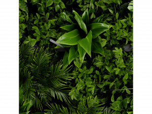 Collection Plant Vol 411 - Blender Model 3Dモデル