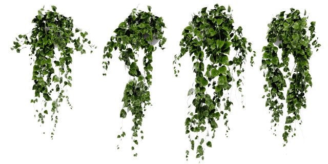 Collection Plant Vol 412 - Blender Model Modèle 3D .c4d .max .obj .3ds .fbx .stl .blend 