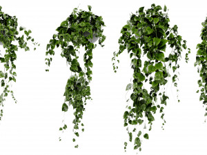 Collection Plant Vol 412 - Blender Model Modèle 3D